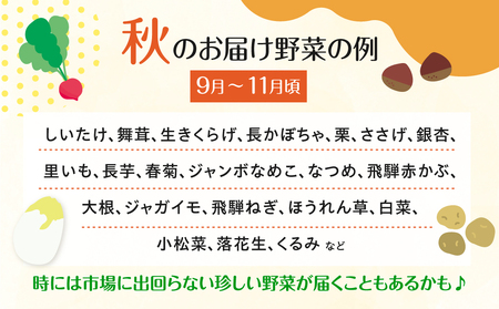 飛騨産 旬の新鮮 野菜セット (7-8品) / 野菜 セット