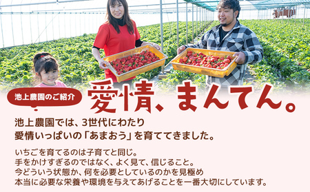 いちご ジャム用あまおういちご 2kg 【2月後半～5月前半発送】BD07