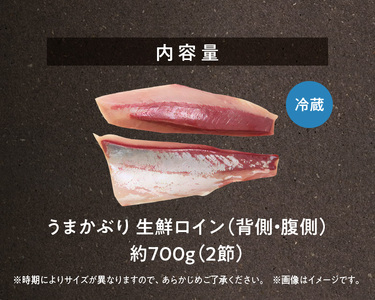 S137-010_【天草育ち】活じめ！うまかぶり生鮮ロイン2節 約700g（切るだけ、手間いらず）