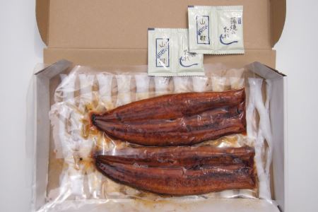 国産うなぎ 蒲焼 2尾 セット 150g×2 タレ付き