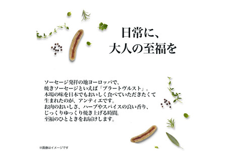 ソーセージ アンティエ レモン & パセリ 標準8本入 10パック 計80本