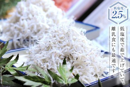 駿河湾産 しらす干し100g×3 釜上げしらす120g×3