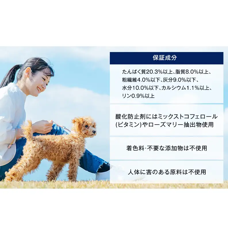ドッグフード ビタワン 6.5kg ドライ 犬 愛犬 ドッグフード