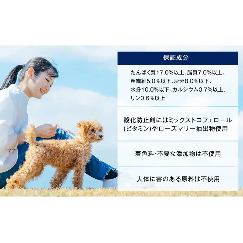 定番！ ビタワン 7歳以上 6kg  日本ペットフード ドッグフード 愛犬 犬 ペット 健康 シニア犬 高齢犬 ごはん ドライフード ふやかしやすい 関節の健康 グルコサミン コンドロイチン ビタミン オリゴ糖 