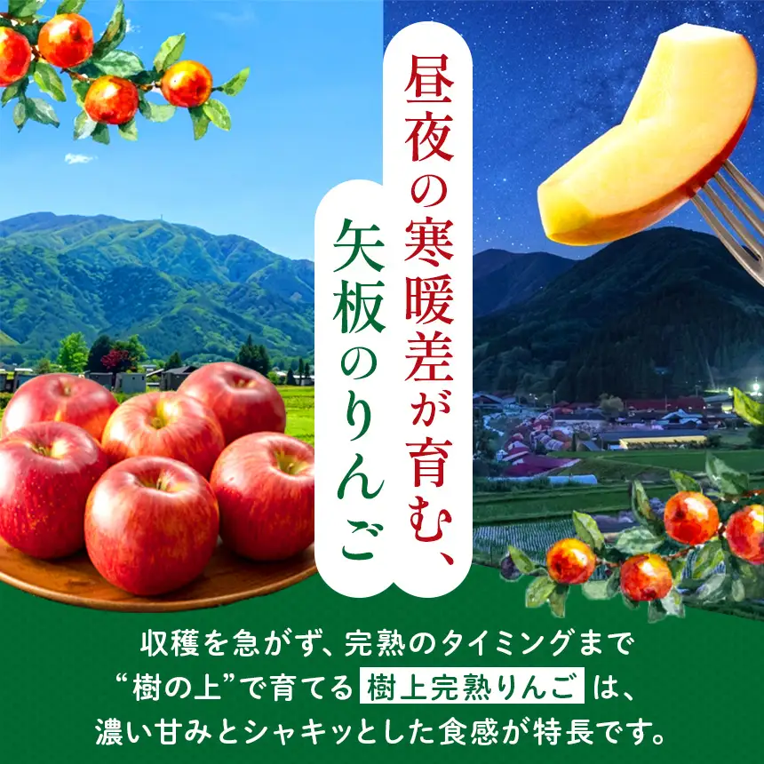 りんご 完熟 ふじ 5kg 箱｜【11月下旬より順次お届け】リンゴ 林檎 フルーツ 果物 栃木県矢板市産