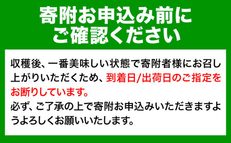【訳あり/ご家庭用】八朔 4kg＋1kg  計約5kg サンファーム《2027年1月上旬-3月末頃より出荷予定》