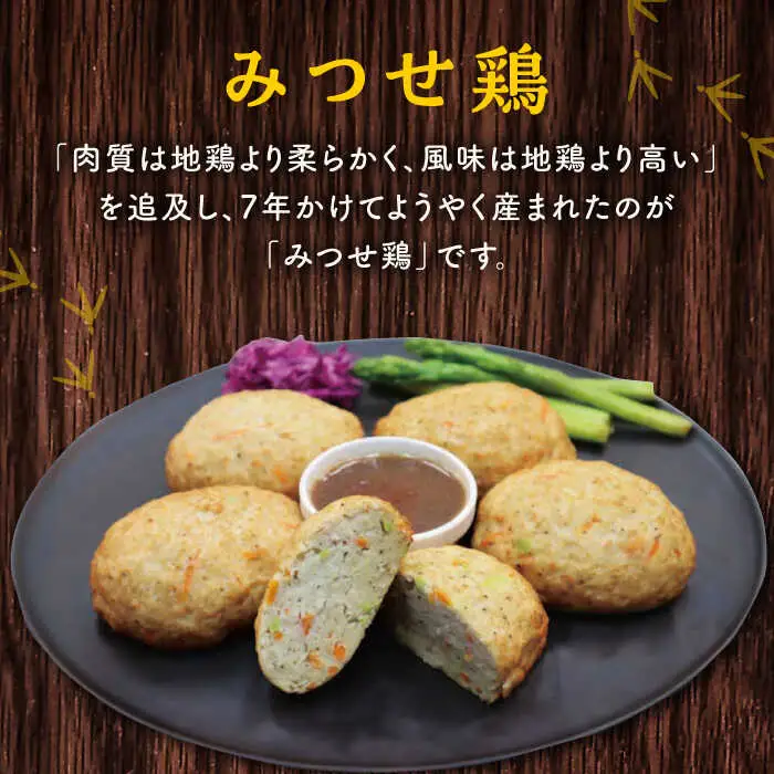 みつせ鶏 ふんわり豆腐ハンバーグ 計10個 惣菜 はんばーぐ [FAE163]
