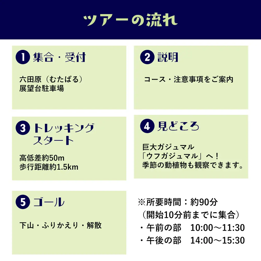 沖縄県北部やんばる・ガジュマルの王様に会いに行こう♪【3名様】