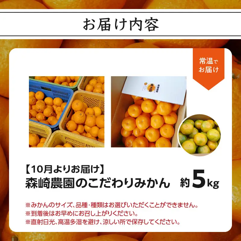 森﨑農園のこだわりみかん 約5kg 極早生～ 早生～蔵出しまで C09023