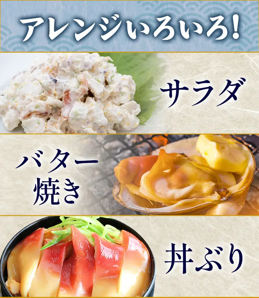 日高産 活ホッキ貝 20個 ひだか漁業協同組合《12月中旬から出荷予定》魚介類 貝 ホッキ貝 活ホッキ貝 ほっき ほっき貝 魚貝 海の幸 海産物 北海道 日高町