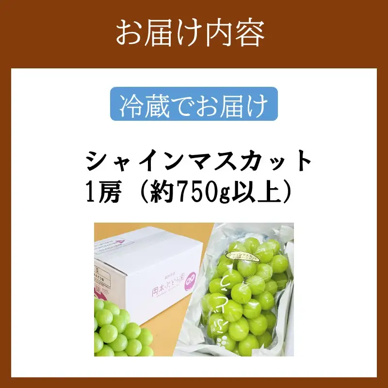 シャインマスカット 約750g【A5-542】