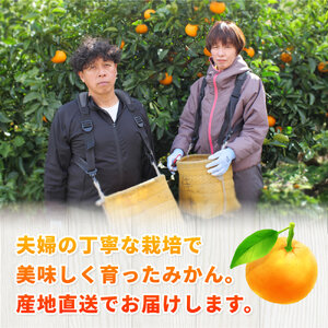 完熟 有田 みかん 訳あり 10kg 久幸園 / 温州みかん 有田みかん 甘い 家庭用 和歌山 柑橘 ※2026年11月～2027年1月下旬に順次発送 【hsk004-c-10C】