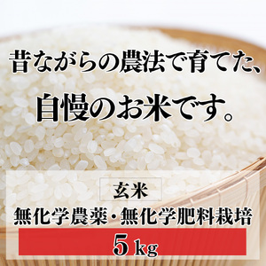 生命の農法（無化学農薬・無化学肥料栽培）お米（5kg）玄米【令和7年産】 | 米 こめ コメ お米 おこめ オコメ 玄米 げんまい ゲンマイ 奈良県 五條市