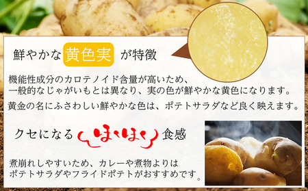 BH048 じゃがいも 希少品種 ながさき黄金 S?2Lサイズ混合 約5kg