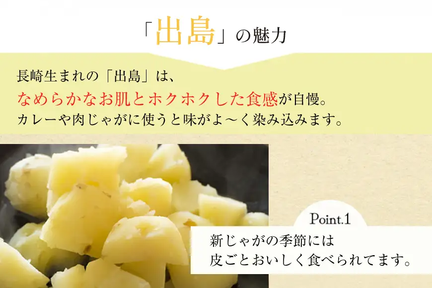 BH050 じゃがいも 訳あり ながさき黄金 出島 約5kg