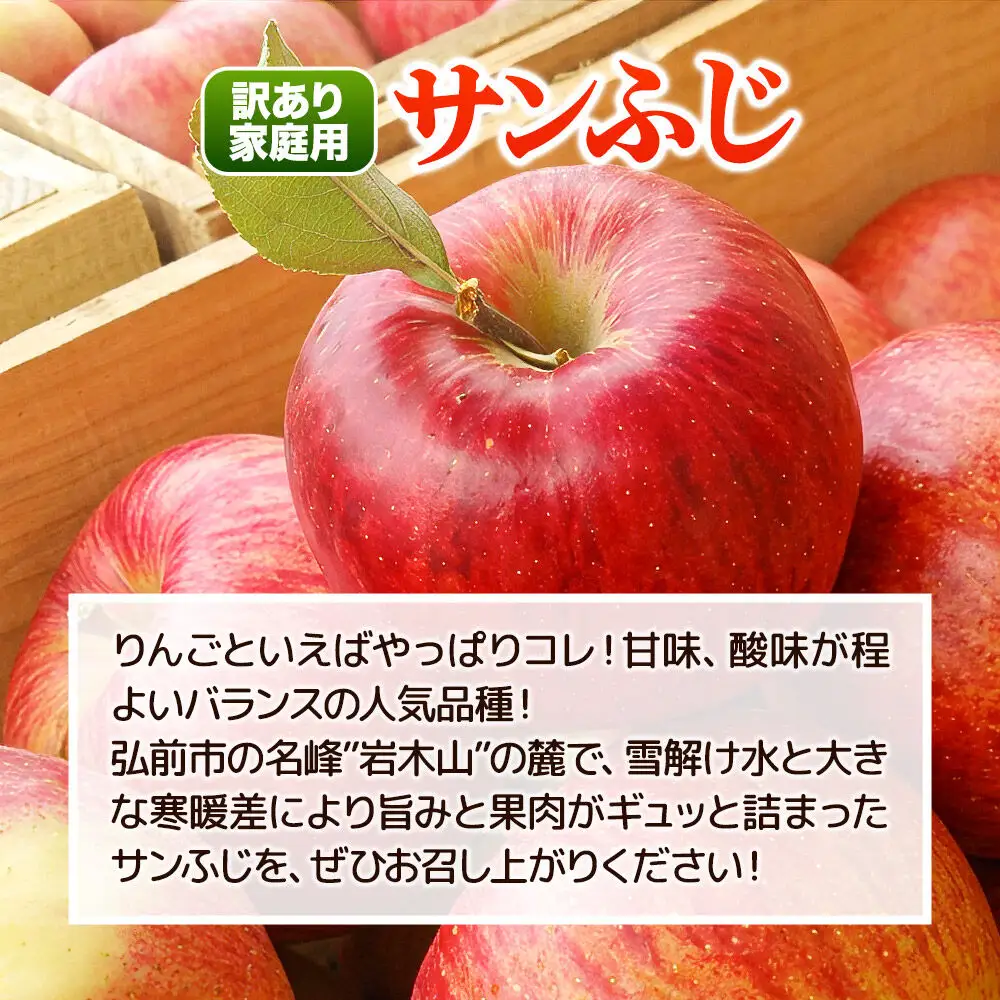 【26年11月下旬発送】りんご 訳あり家庭用 白熊 サンふじ 約5kg（14～20玉程度）糖度13度 先行受付