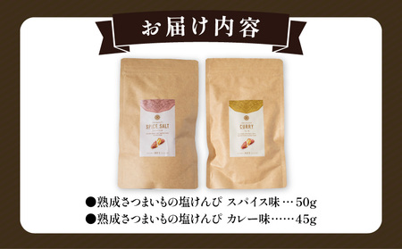 熟成さつまいもの芋けんぴ選べる２種セット 塩けんぴ スパイス味 カレー味