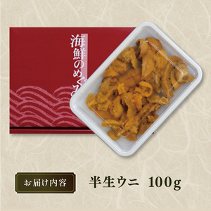 半生うに 100g 冷凍 ＼ うに ／