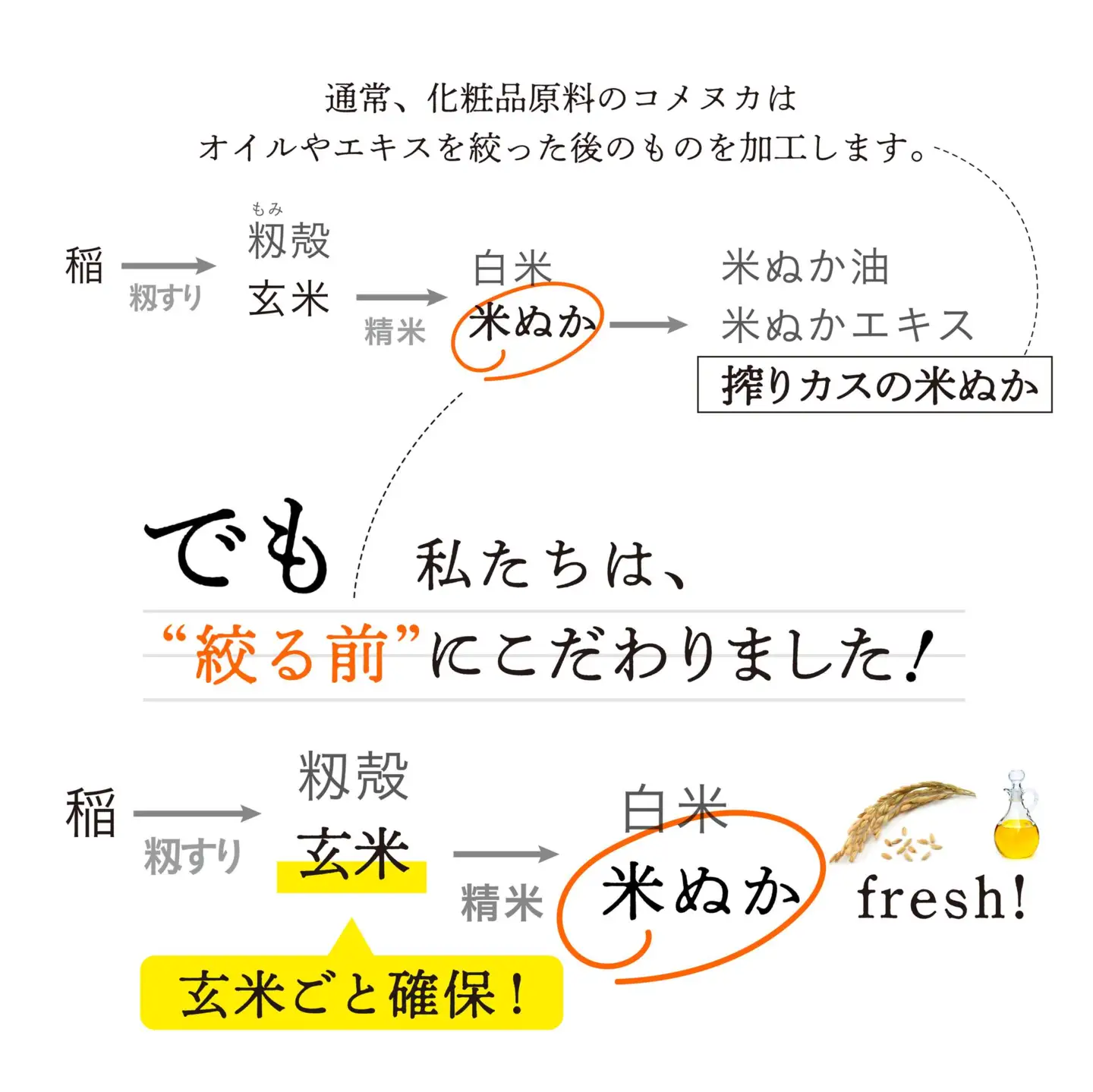 【ペリカン石鹸】ピーズルーツ　米ぬか酵素洗顔パウダー　【11218-0579】
