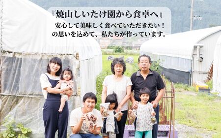 11月以降順次発送【期間限定】 生しいたけ 肉厚「たっぷり1kg」（約18～24個）【お申込期限3月31日まで】ジャンボ手のひらサイズ 焼山しいたけ園 農園直送 新鮮 椎茸 シイタケ お取り寄せ グルメ 国産 糸魚川 新潟県 しいたけ 椎茸 しいたけ キノコ きのこ 茸
