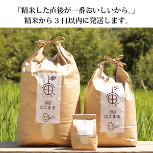 棚田栽培 にこまる 10kg