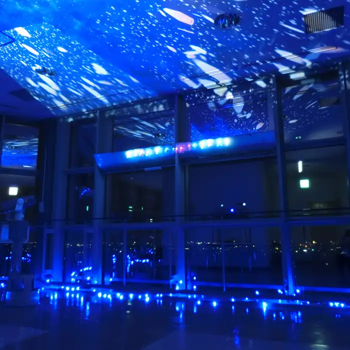 古代蓮会館・夜間特別鑑賞券（プレミアム）～夜景とイルミを貸切で！～ No.339