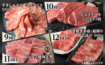 【まるごと定期便】 飛騨牛三昧 全12回 お届け 定期便 [S524]