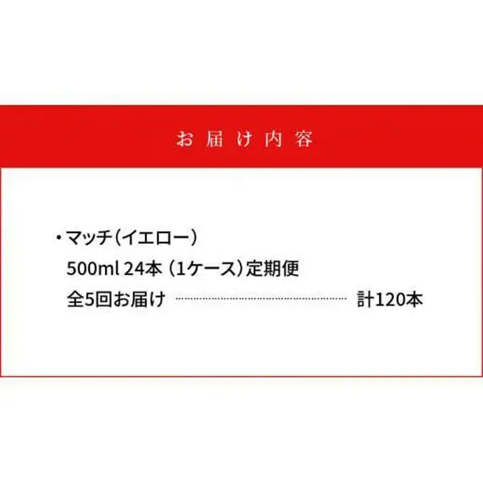 【定期便全5回】マッチ MATCH 500ml×24本 計120本 炭酸飲料 微炭酸 ビタミン炭酸 炭酸 ソーダ―
