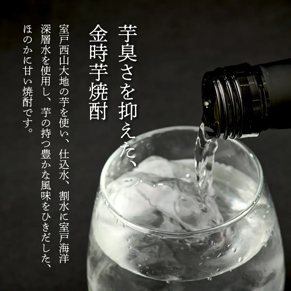 土佐金時芋焼酎 空海 500ml×2本 芋焼酎