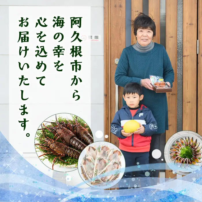 期間・数量限定！鹿児島県産 伊勢海老(5尾・計600g～700g) 国産 鹿児島県産 海老 えび エビ 伊勢海老 味噌汁 小サイズ 刺身 海鮮 海の幸 海産物【福美丸水産】akn033-21