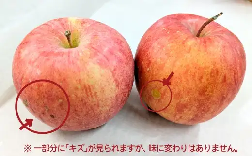 【先行予約】数量限定・期間限定 R8年産【陽気な母さんの店】訳ありりんご「ふじ」（5kg）　50P009001【陽気な母さんの店 】