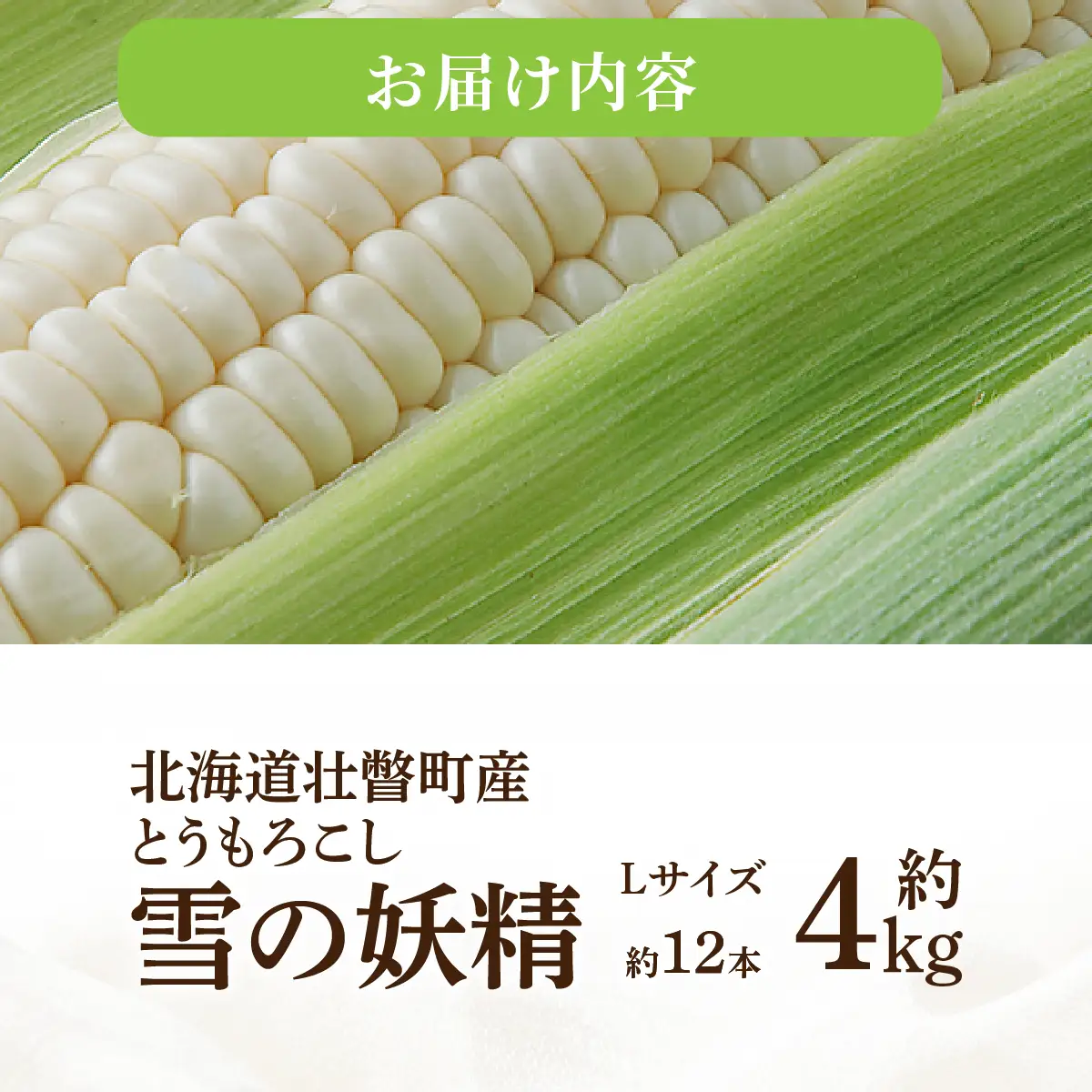＜2026年8月下旬よりお届け＞【朝採り】北海道壮瞥産 白いとうもろこし「雪の妖精」Lサイズ12本(約4kg) SBTQ001