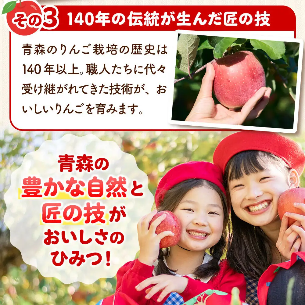 【26年12月発送】りんご【家庭用】サンふじ 約5kg 先行受付