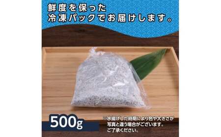 上物釜揚げシラス500g 高知県産 