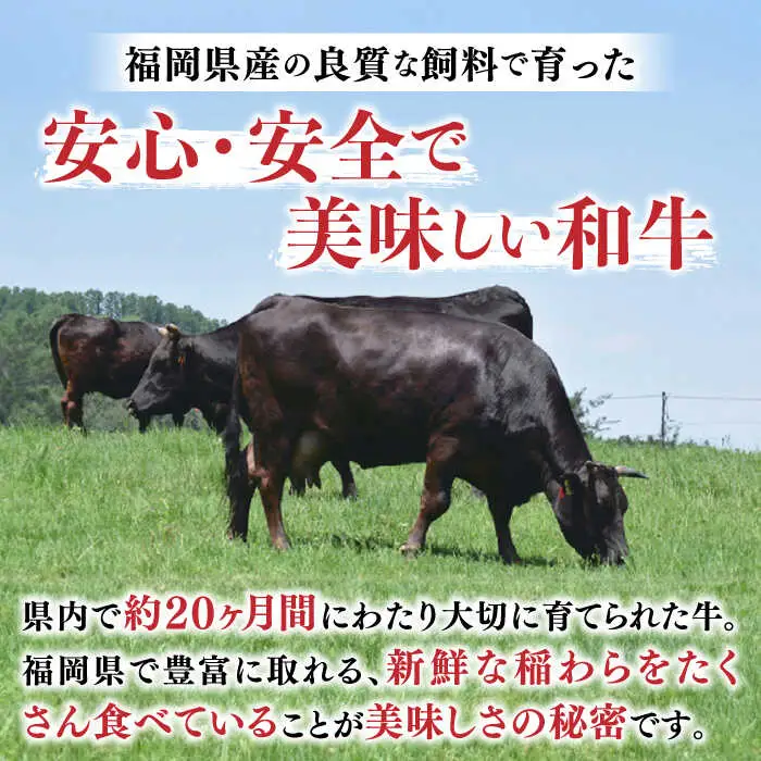 【全6回定期便】サーロイン しゃぶしゃぶすき焼き用 1kg（500g×2p）肉 お肉 牛肉 [ABBP143]
