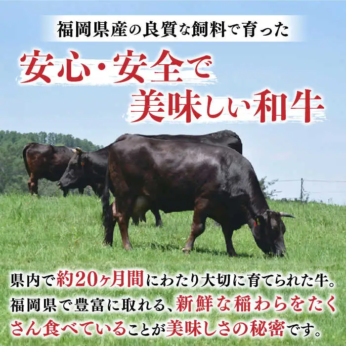 赤身（モモ・肩） 400g  【全12回定期便】 【訳あり】 [ABBP147] 赤身（モモ・肩）