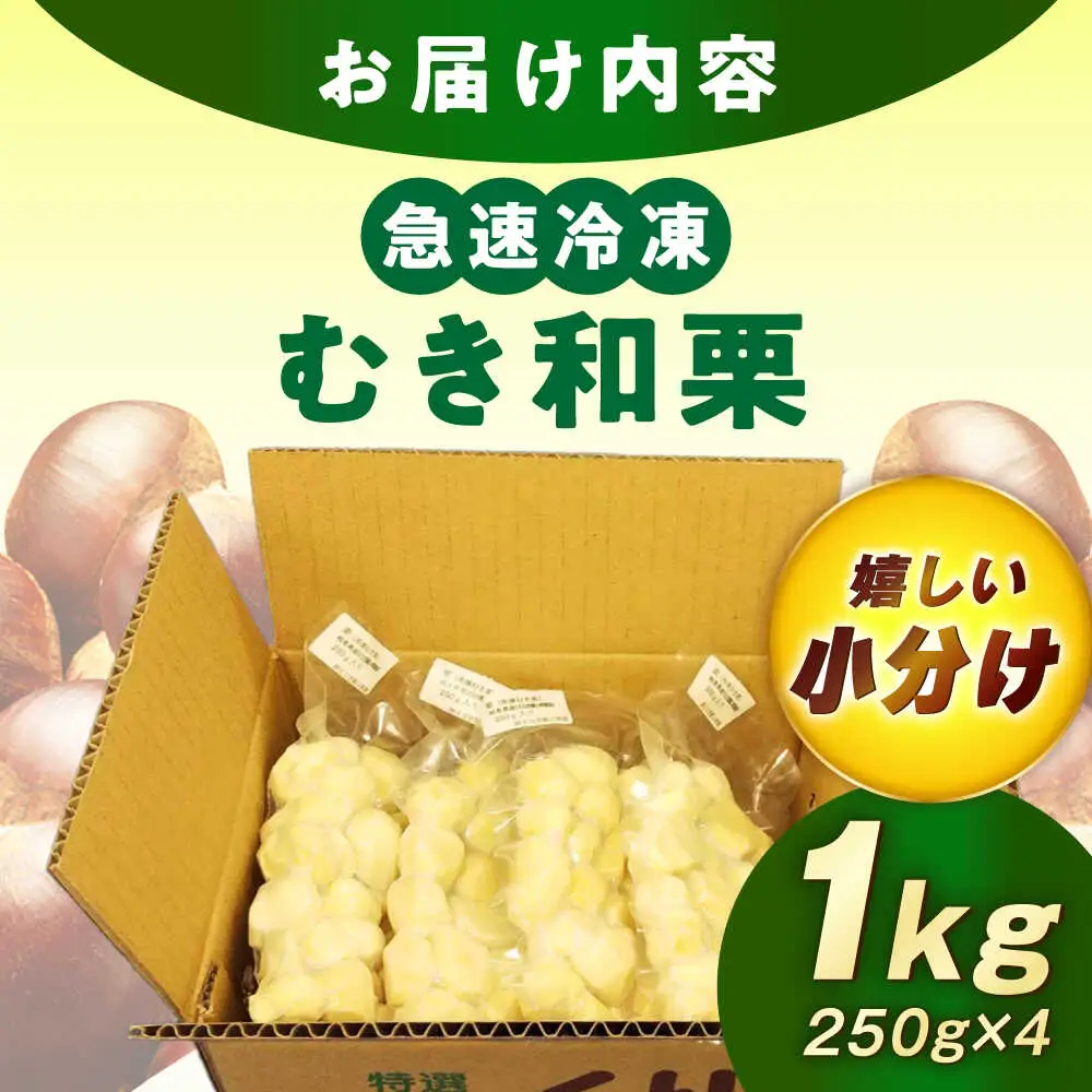 【先行予約】冷凍むき栗「日本栗」 計1kg（250g×4P） / 恵那市 / えな笠置山栗園 [AUAV003]