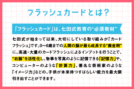 江津市限定返礼品：かな絵ちゃん日本語セット＋DVD 【SC-56】｜送料無料 しちだ 七田式 幼児 言葉 フラッシュカード DVD 右脳 思考力 子育て 教育 教材 教材セット 勉強 子ども キッズ 知育 学べる セット トレーニング 知育トレーニング プレゼント｜