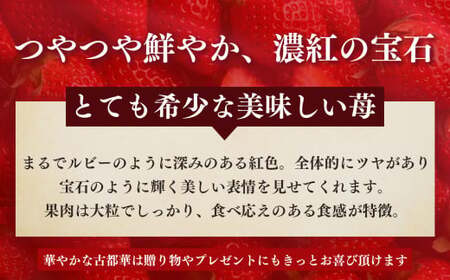 奈良県産ブランド「古都華（ことか）」4パック（約1080g）| フルーツ くだもの 果物 いちご イチゴ ことか コトカ 古都華 奈良県 五條市