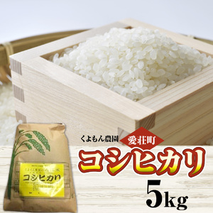 くよもん農園 愛荘町産 コシヒカリ 5kg 令和7年産　白米 精米　AG02