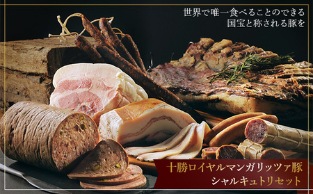 十勝ロイヤルマンガリッツァ豚 シャルキュトリセット 豚肉