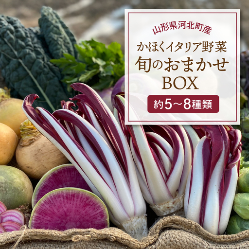 野菜 かほくイタリア野菜 旬のおまかせBOX 5-8種 野菜