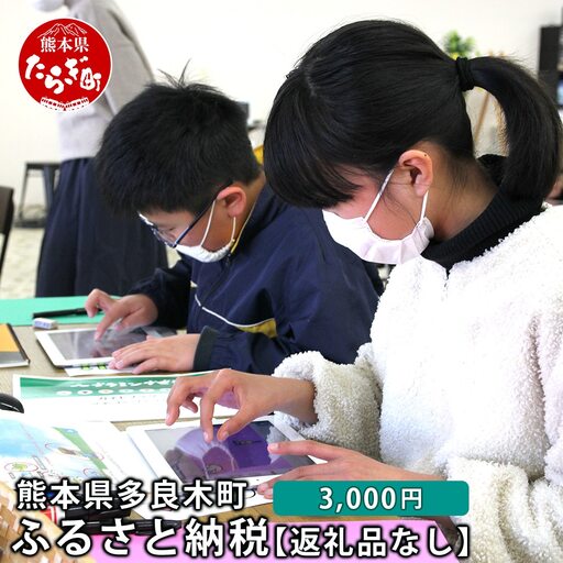 熊本県多良木町への寄附（返礼品はありません）【 ふるさと納税 熊本県 多良木町 応援 寄附 】028-0344-03