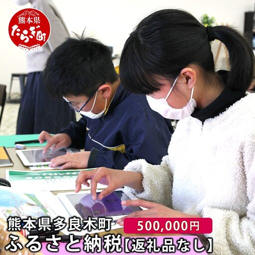 熊本県多良木町への寄附（返礼品はありません）【 ふるさと納税 熊本県 多良木町 応援 寄附 】028-0344-500