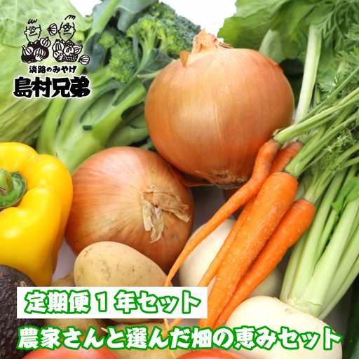 [定期便1年セット]農家さんと選んだ畑の恵みセット 野菜詰め合わせ