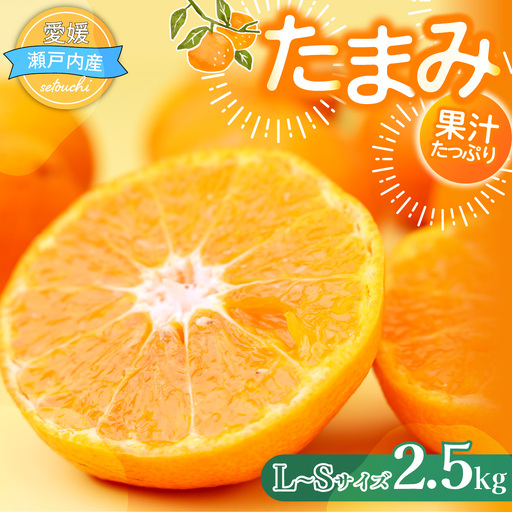 【先行受付】たまみ L～Sサイズ 2.5kg みかん