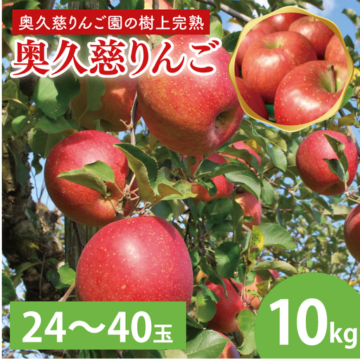 先行予約 奥久慈 りんご 10kg 24～40玉 樹上完熟 茨城県 大子町 フルーツ 果物 国産 詰め合わせ ふじ 秋映 陽光 シナノゴールド シナノスイート 秋 旬 お取り寄せ 数量限定 【2026年9月中旬頃順次発送開始予定】(AI004-1)