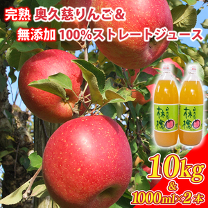 先行予約 奥久慈 りんご 10kg 24〜40玉 りんごジュース 100% リンゴジュース 飲料 無添加 ストレートジュース 樹上完熟 茨城県 大子町 フルーツ 果物 国産 詰め合わせ ふじ 秋映 陽光 シナノゴールド シナノスイート 秋 旬 お取り寄せ 数量限定 [2026年11月中旬頃順次発送開始予定](AI005-1)