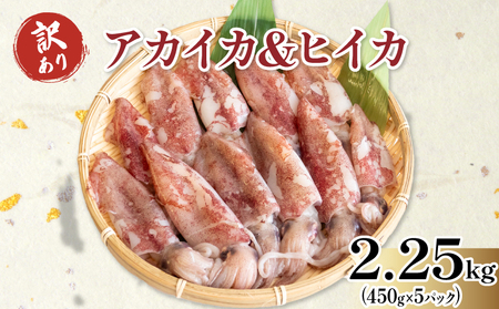 訳あり 小イカ ( アカイカ ヒイカ ) 約2.25kg(450gx5パック) 不揃い 小分け 冷凍 刺身 セリから直送 ケンサキイカ ジンドウイカ【配送不可地域：北海道･沖縄県･離島】 [uotarou004]
