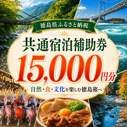 宿泊券 15,000円分 徳島 旅行券 宿泊券